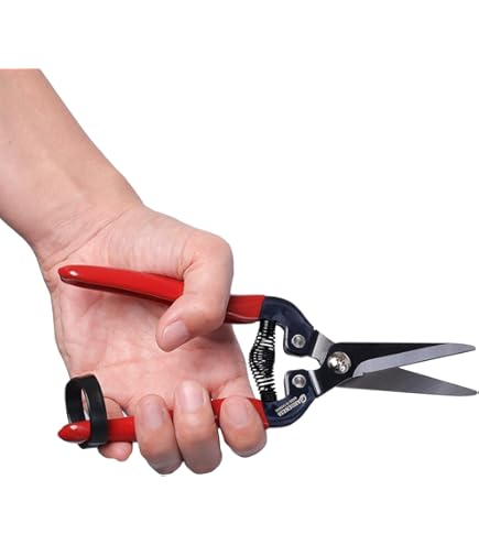 Amazon | アルスコーポレーション アルス 摘果鋏 ロングタイプ